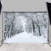 Lofaris Cold Snowy And Mysterious Highway White Winter Backdrop